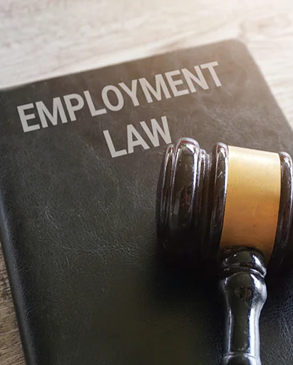 Employment Law Image